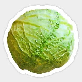 Cabbage Vegetable Sticker